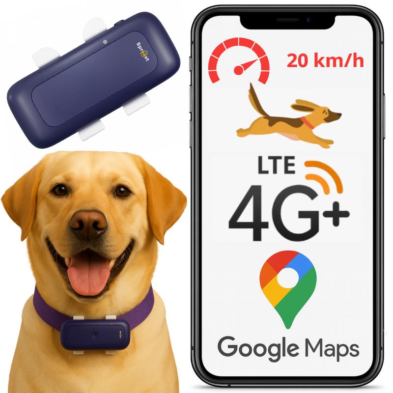 GPS lokátor S26L 4G fialový