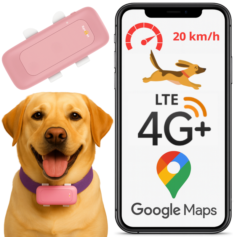 GPS lokátor S26L 4G růžový